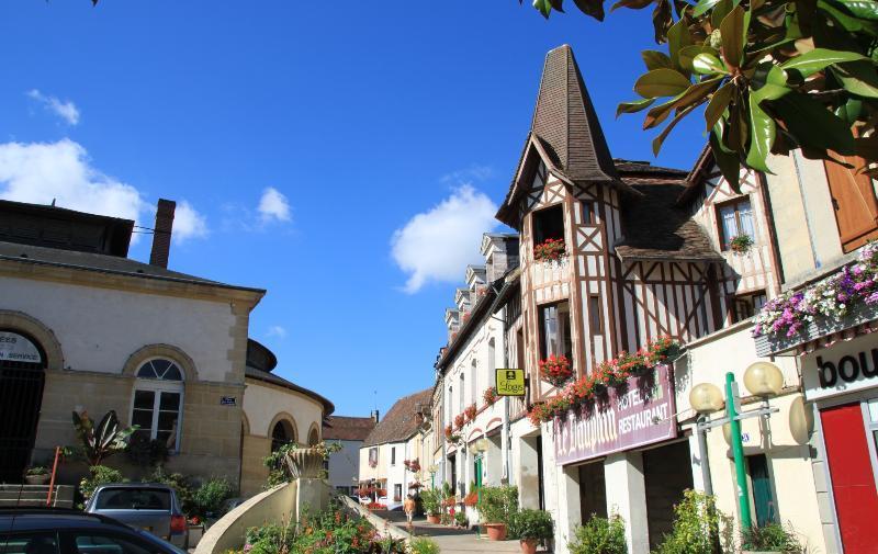 Logis Hotel Et Restaurant Du Dauphin Sées Exterior photo